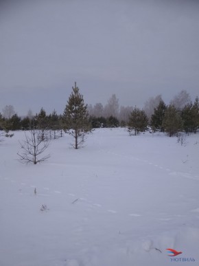 Баженово ул Южная д 7 в Керчи - kerch.yutvil.ru - фото 5