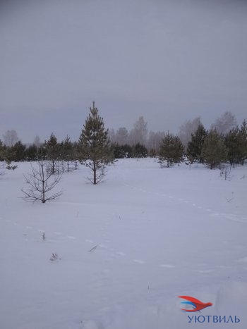 Земельный участок поселок Баженово в Керчи - kerch.yutvil.ru - фото 5