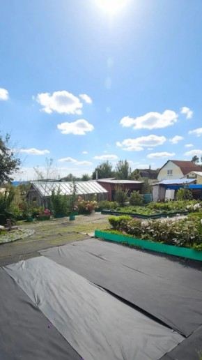СНТ Машиностроитель, уч.166 в Керчи - kerch.yutvil.ru - фото 17 СНТ Машиностроитель, уч.166 в Керчи - kerch.yutvil.ru - фото 17